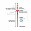 Blu B Flex Gold Rotary Files 25 mm